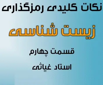 دانلود pdf نکات کلیدی رمزگذاری درس زیست شناسی قسمت چهارم رایگان | ویژه کنکور
