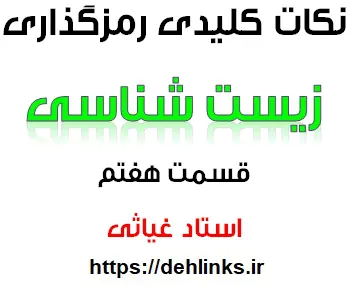 دانلود pdf جزوه عالی و ترکیبی کنکوری زیست شناسی سال دوم رایگان | ویژه کنکور