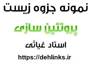 دانلود pdf نمونه جزوه ای از مبحث پروتئین سازی در زیست شناسی رایگان | ویژه کنکور