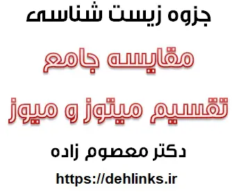 دانلود pdf جمع بندی هورمون ها ودستگاه درون ریز زیست شناسی فصل چهارم رایگان | ویژه کنکور