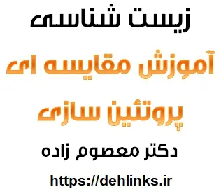 دانلود pdf جزوه آموزشی زیست شناسی و مقایسه ای پروتئین سازی رایگان | ویژه کنکور