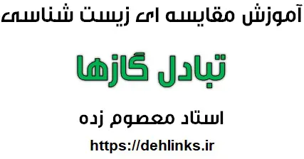 دانلود pdf آموزش مفهمومی و مقایسه ای زیست شناسی ، تبادل گازها رایگان | ویژه کنکور