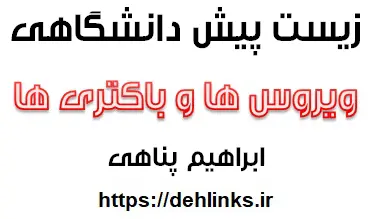 دانلود pdf جزوه زیست پیش دانشگاهی مبحث ویروس ها و باکتری ها رایگان | ویژه کنکور