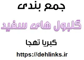 دانلود pdf جمع بندی گلبول های سفید در یک صفحه‎ رایگان | ویژه کنکور