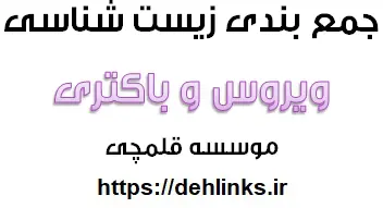 دانلود pdf جمع‌بندی ویروس‌ و باکتری-زیست‌شناسی رایگان | ویژه کنکور