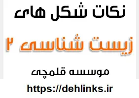 دانلود pdf نکات شکل‌های زیست‌شناسی و آزمایشگاه 2 رایگان | ویژه کنکور