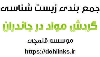 دانلود pdf گردش مواد در جانداران-زیست‌شناسی رایگان | ویژه کنکور