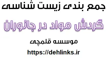 دانلود pdf جمع‌بندی نکته‌های گردش مواد در جانواران-زیست‌شناسی رایگان | ویژه کنکور