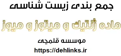 دانلود pdf جمع‌بندی نکته‌های مبحث ماده ژنتیک،میتوز و میوز رایگان | ویژه کنکور