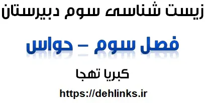 دانلود pdf جزوه زیست شناسی سوم دبیرستان فصل حواس رایگان | ویژه کنکور