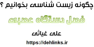 دانلود pdf چگونه زیست سال سوم را برای کنکور و خرداد بخوانم ؟ دستگاه عصبی رایگان | ویژه کنکور