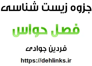 دانلود pdf جزوه زیست شناسی فصل حواس رایگان | ویژه کنکور