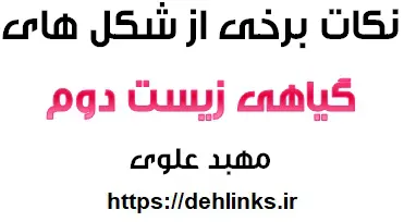 دانلود pdf زیست شناسی(نکات برخی شکل های گیاهی دوم)‎ رایگان | ویژه کنکور