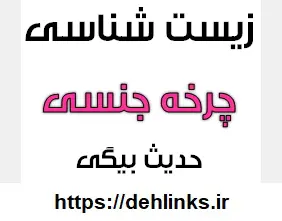 دانلود pdf زیست شناسی ، چرخه جنسی‎ رایگان | ویژه کنکور
