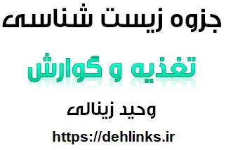 دانلود pdf جزوه زیست شناسی ، تغذیه و گوارش‎ رایگان | ویژه کنکور