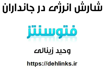 دانلود pdf جمع بندی فصل چهارم زیست پیش دانشگاهی رایگان | ویژه کنکور