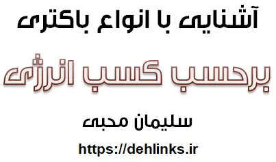 دانلود pdf آشنایی با انواع باکتری بر حسب کسب انرژی رایگان | ویژه کنکور