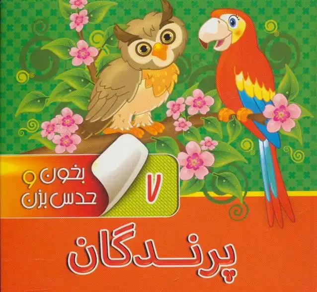 دانلود pdf کتاب بخون و حدس بزن 7 : پرندگان آرزو باقری