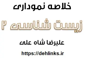 دانلود pdf خلاصه نموداری زیست شناسی و آزمایشگاه 2 رایگان | ویژه کنکور