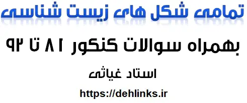 دانلود pdf تمام سوالات کنکوري در رابطه با شکل هاي زیست شناسی سال دوم رایگان | ویژه کنکور