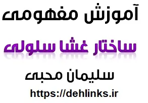 دانلود pdf آموزش مفهومی ترکیبی ساختار غشاء سلولی رایگان | ویژه کنکور