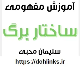 دانلود pdf آموزش مفهومی و ترکیبی ساختار برگ ( اندام اصلی فتوستز) رایگان | ویژه کنکور