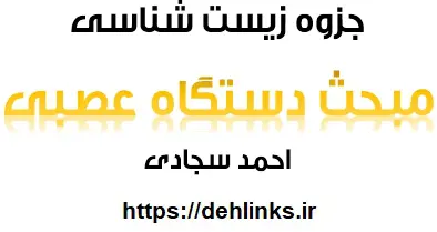 دانلود pdf جزوه زیست شناسی ، مبحث دستگاه عصبی رایگان | ویژه کنکور