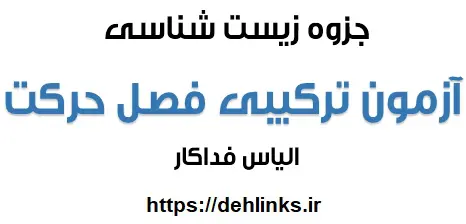 دانلود pdf آزمون ترکیبی فصل حرکت همراه با پاسخ تشریحی‎ رایگان | ویژه کنکور