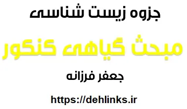 دانلود pdf جزوه زیست شناسی ، مبحث گیاهی کنکور رایگان | ویژه کنکور