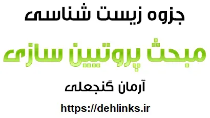 دانلود pdf جزوه زیست شناسی – پروتئین سازی‎ رایگان | ویژه کنکور
