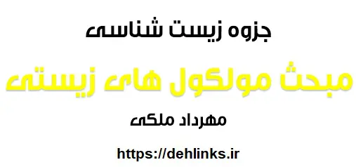 دانلود pdf جزوه زیست شناسی ، مبحث مولکول های زیستی رایگان | ویژه کنکور
