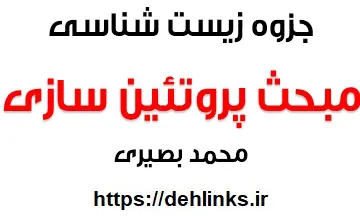 دانلود pdf جزوه زیست شناسی ، مبحث پروتئین سازی رایگان | ویژه کنکور