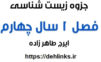 دانلود pdf درسنامه پروتئین سازی (ترجمه) فصل یک زیست چهارم تجربی رایگان | ویژه کنکور