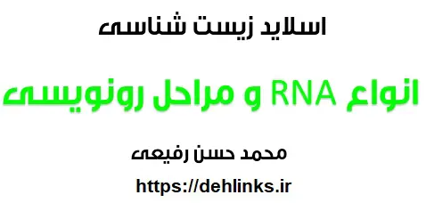 دانلود pdf اسلاید انواع RNA و مراحل رونویسی‎ رایگان | ویژه کنکور