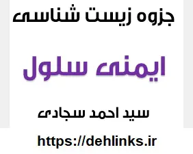 دانلود pdf جزوه ایمنی سلولی زیست شناسی رایگان | ویژه کنکور