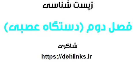 دانلود pdf فصل 2 زیست 2 (دستگاه عصبی) رایگان | ویژه کنکور