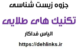 دانلود pdf تکنیک های طلایی زیست شناسی (3) رایگان | ویژه کنکور