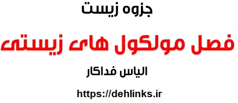 دانلود pdf جزوه ترکیبی فصل مولکولهای زیستی رایگان | ویژه کنکور