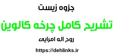 دانلود pdf تشریح کامل چرخه کالوین زیست سال چهارم رایگان | ویژه کنکور