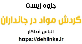 دانلود pdf جزوه گردش مواد در جانداران (ترکیبی + تکنیکی + مفهومی )‎ رایگان | ویژه کنکور