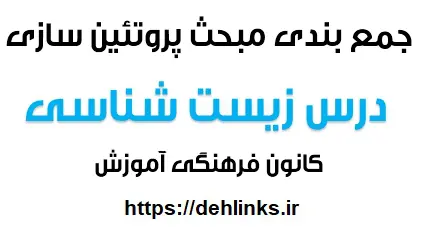 دانلود pdf جمع بندی مبحث پروتئین سازی درس زیست شناسی رایگان | ویژه کنکور