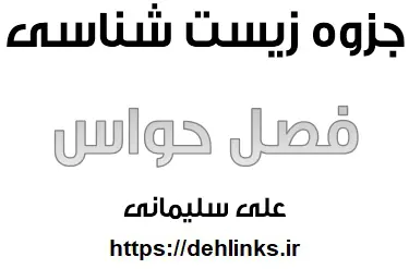 دانلود pdf جزوه زیست شناسی مبحث حواس رایگان | ویژه کنکور