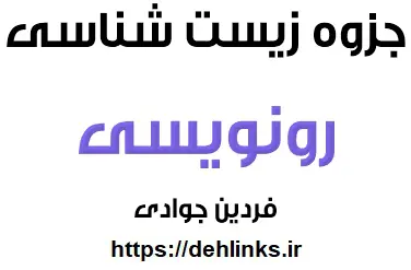 دانلود pdf جزوه زیست مبحث رونویسی رایگان | ویژه کنکور