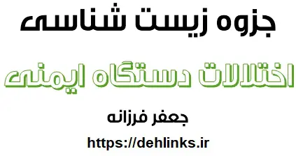 دانلود pdf جزوه زیست مبحث اختلالات دستگاه ایمنی‎ رایگان | ویژه کنکور