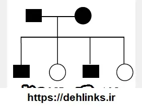 دانلود pdf نکات کنکوری دودمانه‎ رایگان | ویژه کنکور