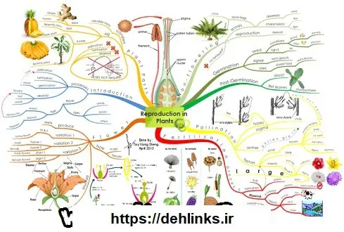 دانلود pdf جزوه تولید مثل در گیاهان رایگان | ویژه کنکور