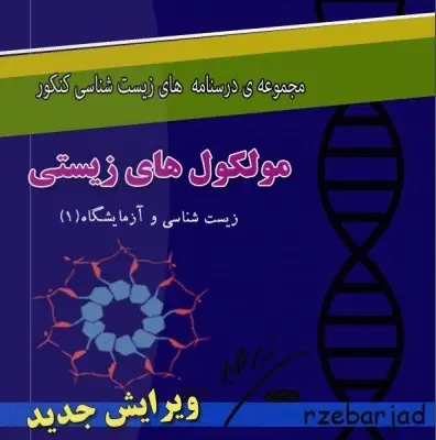 دانلود pdf جزوه مولکول های زیستی رایگان | ویژه کنکور