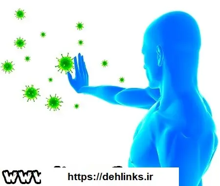 دانلود pdf جزوه ایمنی بدن زیست شناسی رایگان | ویژه کنکور