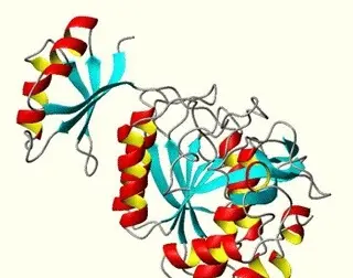 دانلود pdf جزوه مبحث پروتئین سازی ویژه کنکور رایگان | ویژه کنکور