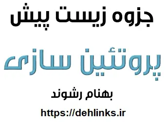 دانلود pdf جزوه فصل اول زیست پیش دانشگاهی (پروتئین سازی)‎ رایگان | ویژه کنکور